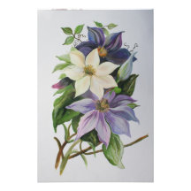 Lilac Clematis Photo Print