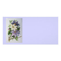 Lilac Clematis Picture Card