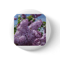 Lilac cluster pinback button