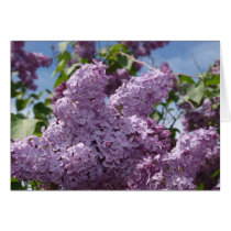 Lilac cluster greeting card