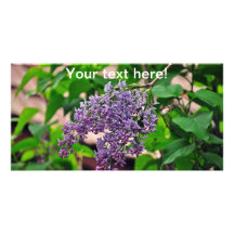 Lilac Custom Photo Card
