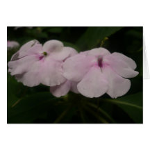 Lilac flowers | Card
