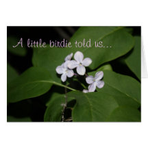 Lilac Flowers Congratulations Card
