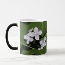 Lilac Flowers Enjoy Life Mug