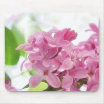 Lilac Flowers In The Morning Sunlight