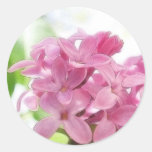 Lilac Flowers In The Morning Sunlight Round Stickers
