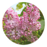 Lilac Tree Stickers