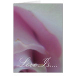 Lilac Wedding Rose cards
