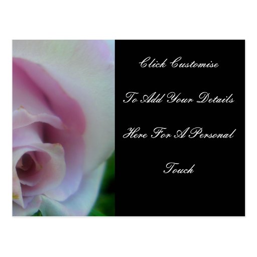 Lilac Wedding Rose Post Cards