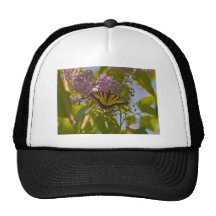 Lilacs and Butterfly Hat