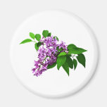 Lilacs and Leaves Magnets