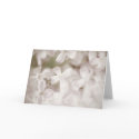 Lilacs, Blank Card, floral photography, greetings