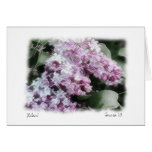 Lilacs Greeting Cards