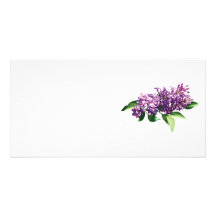 Lilacs in Sunshine Customized Photo Card