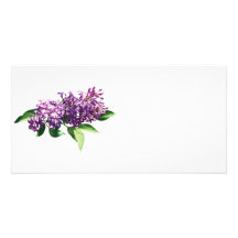 Lilacs in Sunshine Photo Card Template