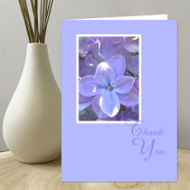 Lilacs Sympathy or Death Thank You Card
