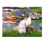 Lilies 2 - Blue Point Siamese cat Postcards