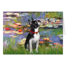 Lilies #2 - Boston Terrier 2 Card