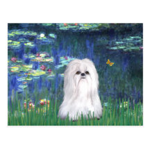 Lilies #5 - Shih Tzu (white) Postcard