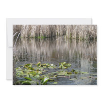 Lilies and Cattails Custom Invitations