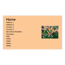 Lilies Business Card Template