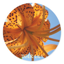 LILIES BUTTONS Tiger Lily Flowers BUTTON Gifts