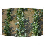 Lilies growing at Calla Lily Plantation, Taiwan 3 Ring Binder
