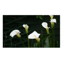 Lilies growing at Calla Lily Plantation, Taiwan Business Card Template