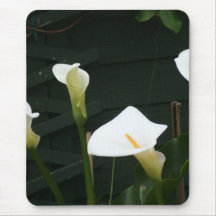 Lilies growing at Calla Lily Plantation, Taiwan Mousepads