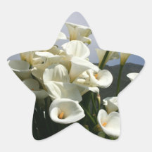 Lilies growing at Calla Lily Plantation, Taiwan Stickers