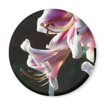 Lilies magnet Pink Lily Flowers magnets gifts