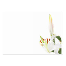 Lilies on white business card templates