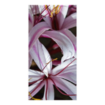 Lilies Photo Card Template