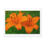 Lilies Postcard
