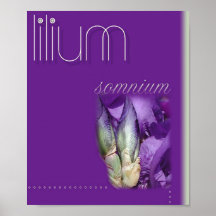::: LILIUM ::: POSTER