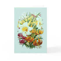 Lilium speciies greeting card