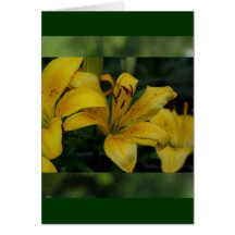 Lillies in Green Card