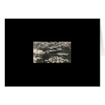 lillipad pond  scenery card