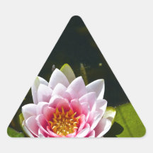 Lilly and Lotus Stickers