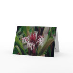 lilly, Hi There! Cards