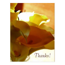 LILLY Postcard
