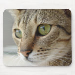 Lilo Mousepad