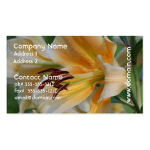 Lily Blossoms Business Cards