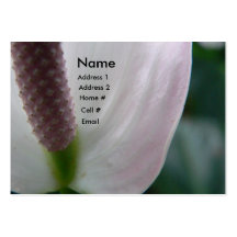 Lily Business Card