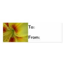 Lily Business Card Templates