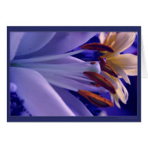 Lily Flower #420b Card