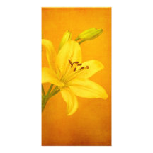 Lily Flower Customized Photo Card
