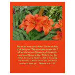 Lily flower - Iridescent orange flyers