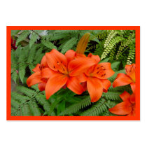 Lily flower - Iridescent orange Tract Cards /