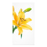 Lily Flower Photo Card Template